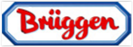 bruggen logo